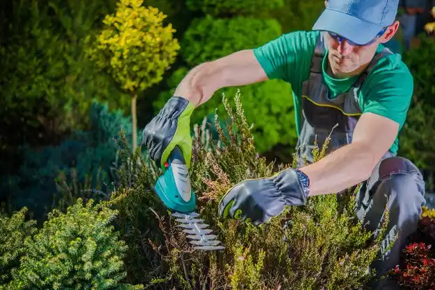 landscaping services Rockland